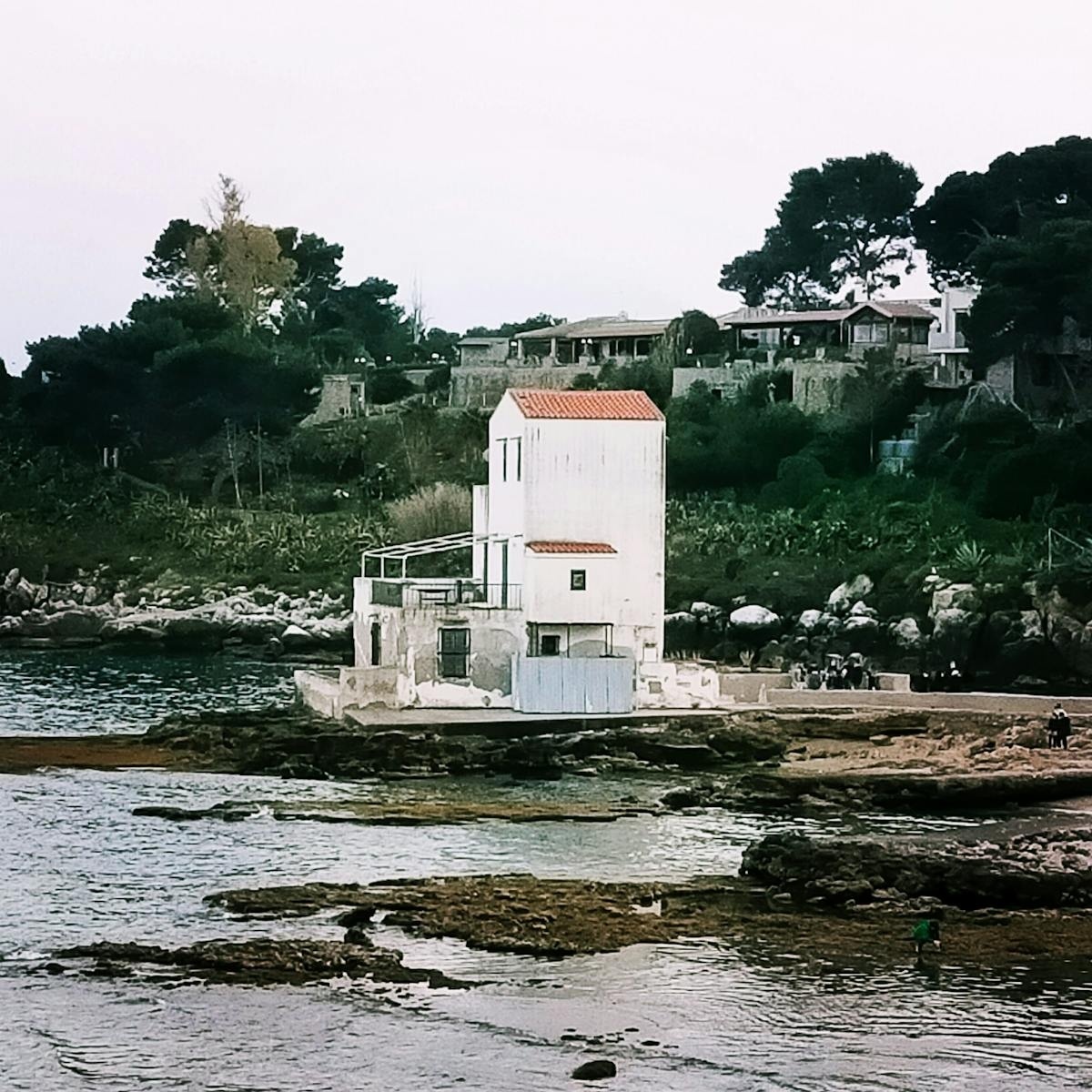 Imagen de un coche eléctrico